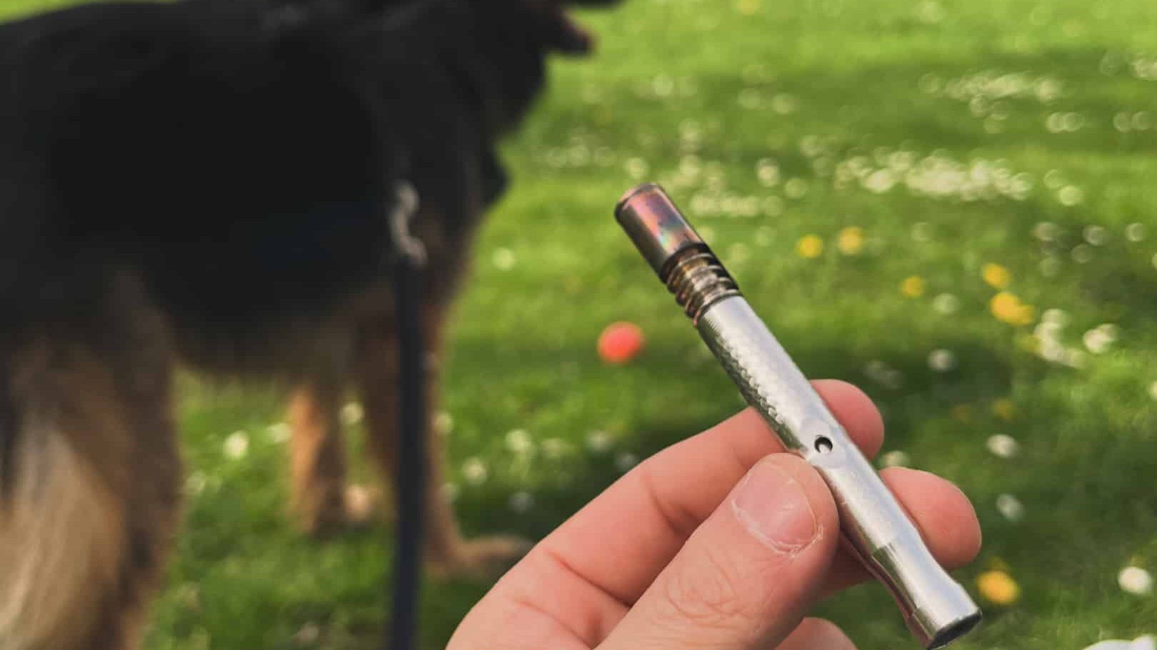 Kaufratgeber Vaporizer